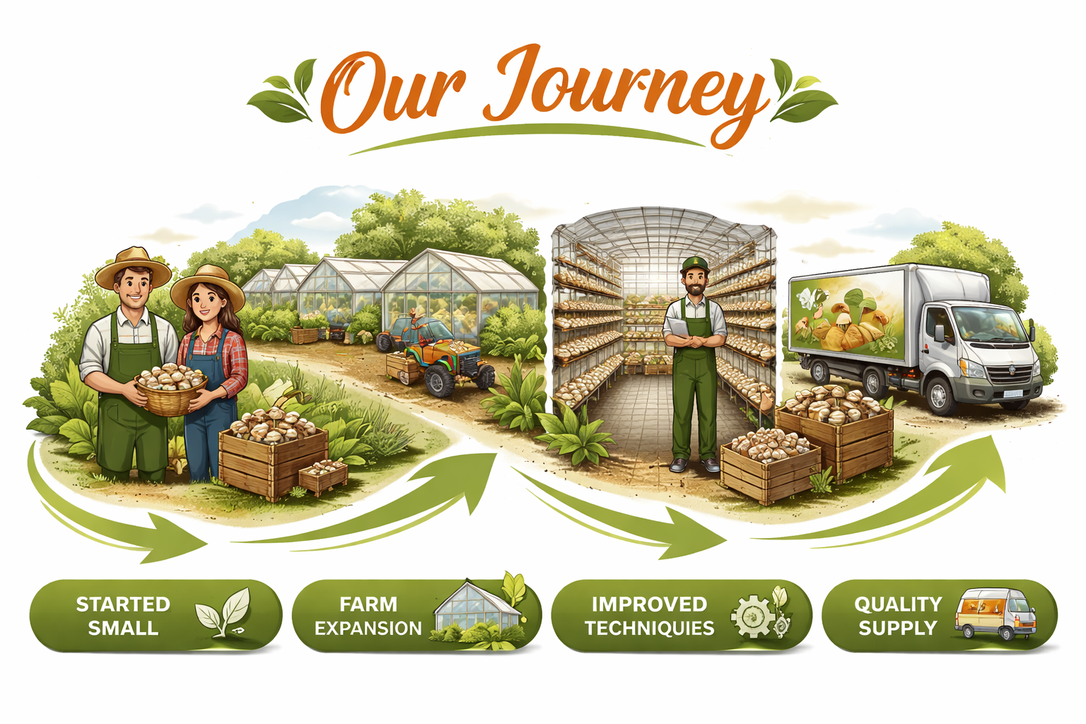 our journey of mushroom farming