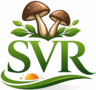nature inspired svr logo design